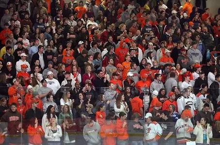 Ice Hockey Crowd