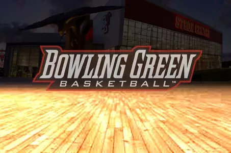 basketball-stroh-court-dark-shot