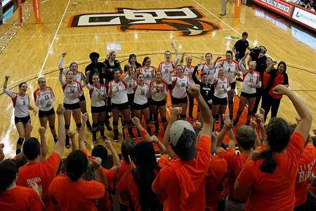 Volleyball Team Fans