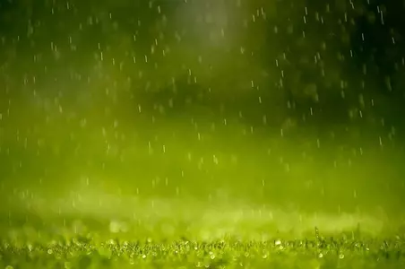 rain at golf course