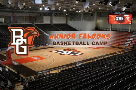 Junior Falcons - court