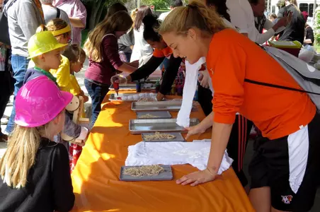 Miriam Justinger Black Swamp Festival Sept 12 2015