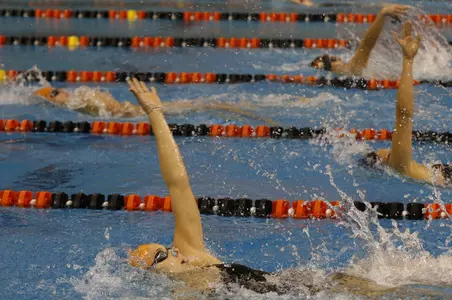 Swimming Orange & Brown