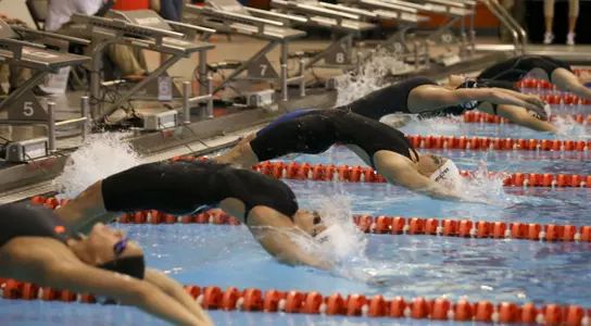 swim/dive - start