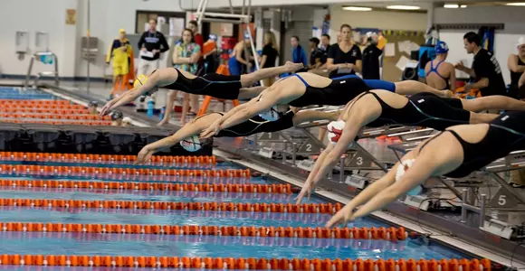 swim/dive - mac 2016 - verbrugge