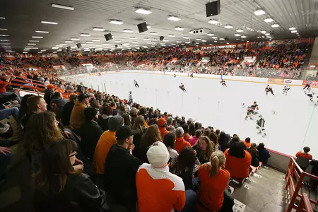 Hockey Crowd