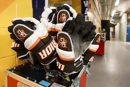 Hockey Gloves