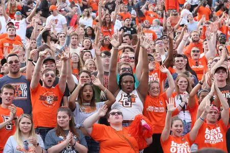 2017 Homecoming Fans