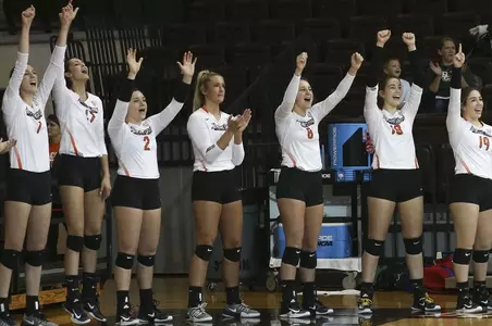 Volleyball Celebration