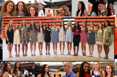 Mid-Summer Night's Madness 2017