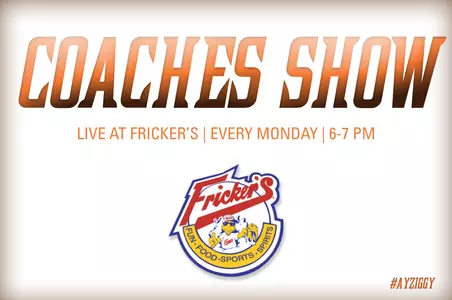 Falcons Nest Coaches Show