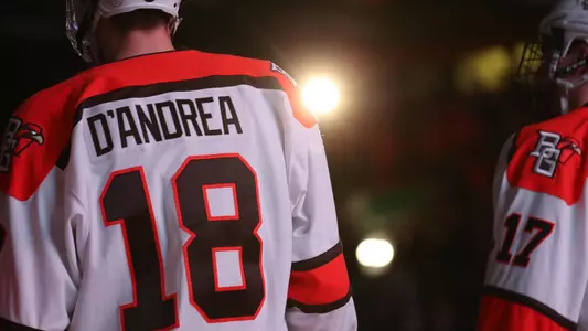Brett D'Andrea