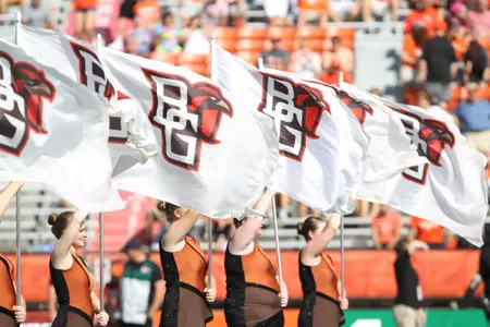 BGSU Flags