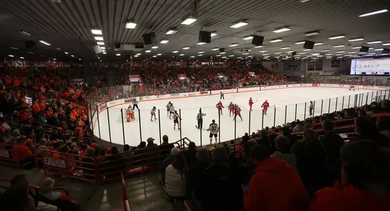 Hockey Crowd