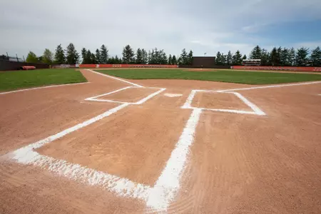 Steller Field