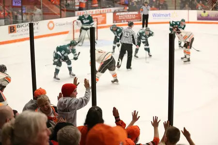 Fans at a hockey game