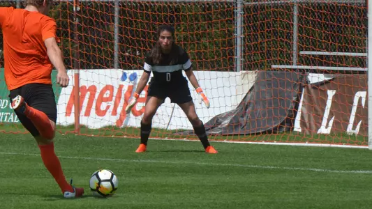 Monica Florez - Aug 19 2019