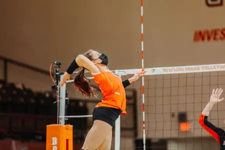 VB