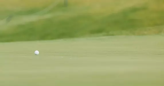 WGOLF_DoloresBlack