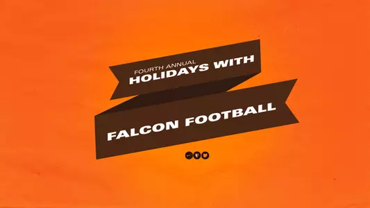 Holidays with Falcons