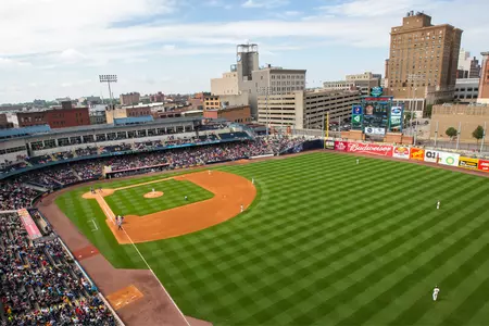 Mud Hens