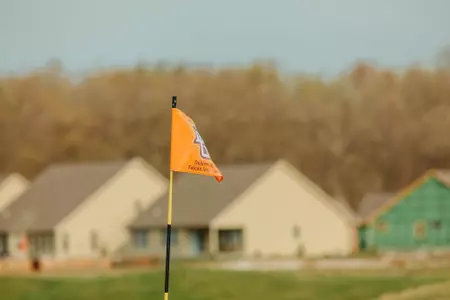 Flag Stick Golf