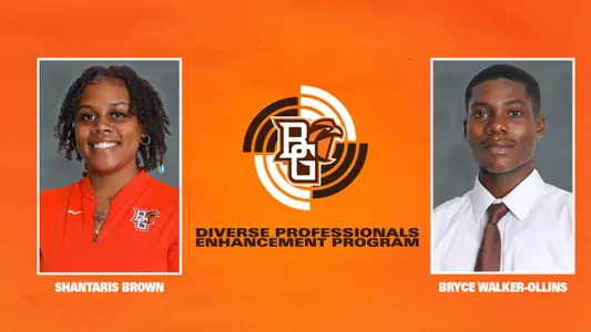 DPEP - Diverse Professional