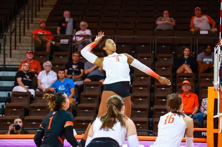 Volleyball