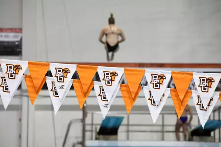 WSWIMvsToledo