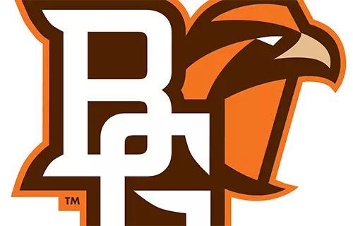 BG Logo for Com Page