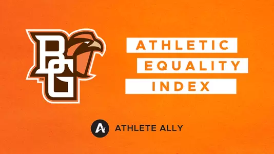 Athlete Ally AEI Score
