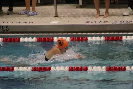Swim & Dive