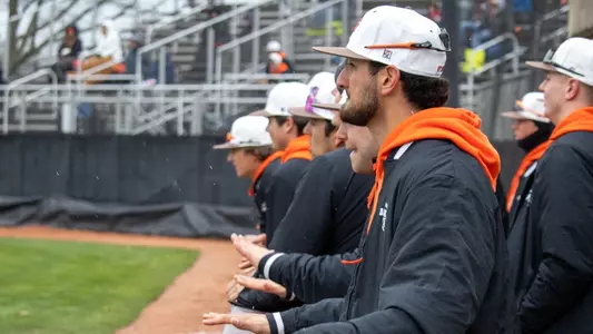 Baseball PPD