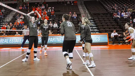 BGVB Celebration Brown Jerseys