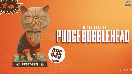 Pudge the Cat Bobblehead