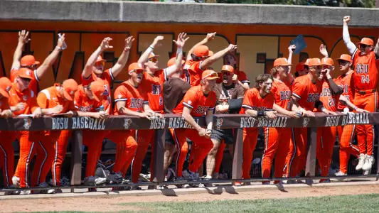 Baseball Celebration