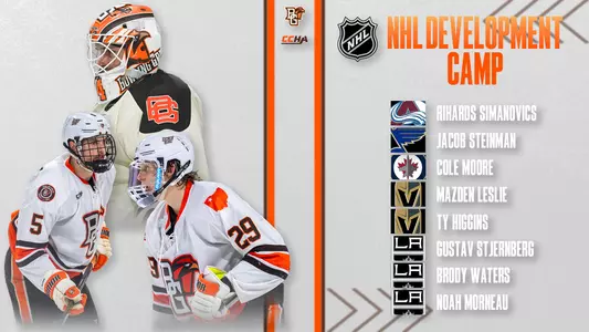 BG Hockey NHL Development