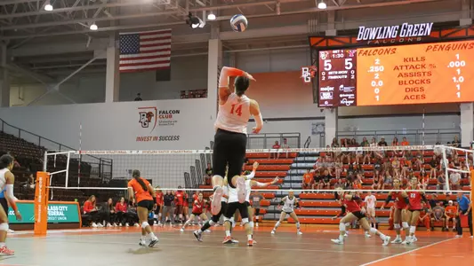 Lauryn Hovey vs. YSU