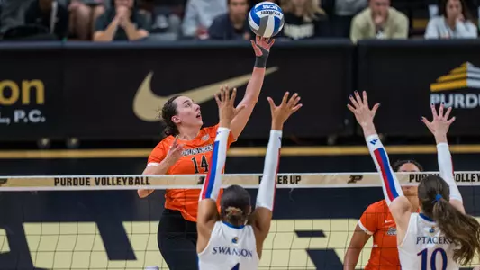 Lauryn Hovey vs. #15 Kansas