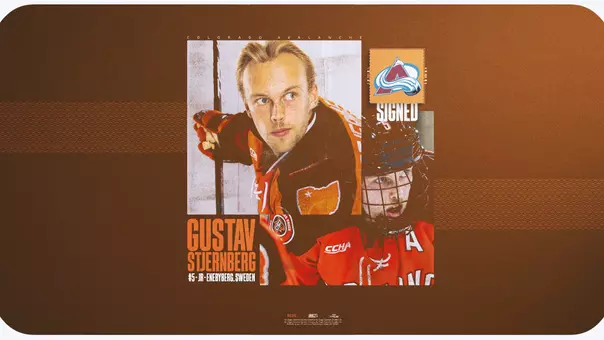 Gustav NHL