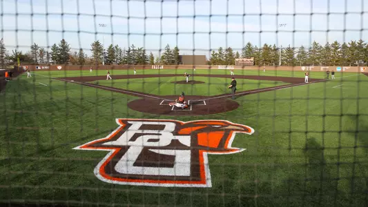 Steller Field Wide Angle