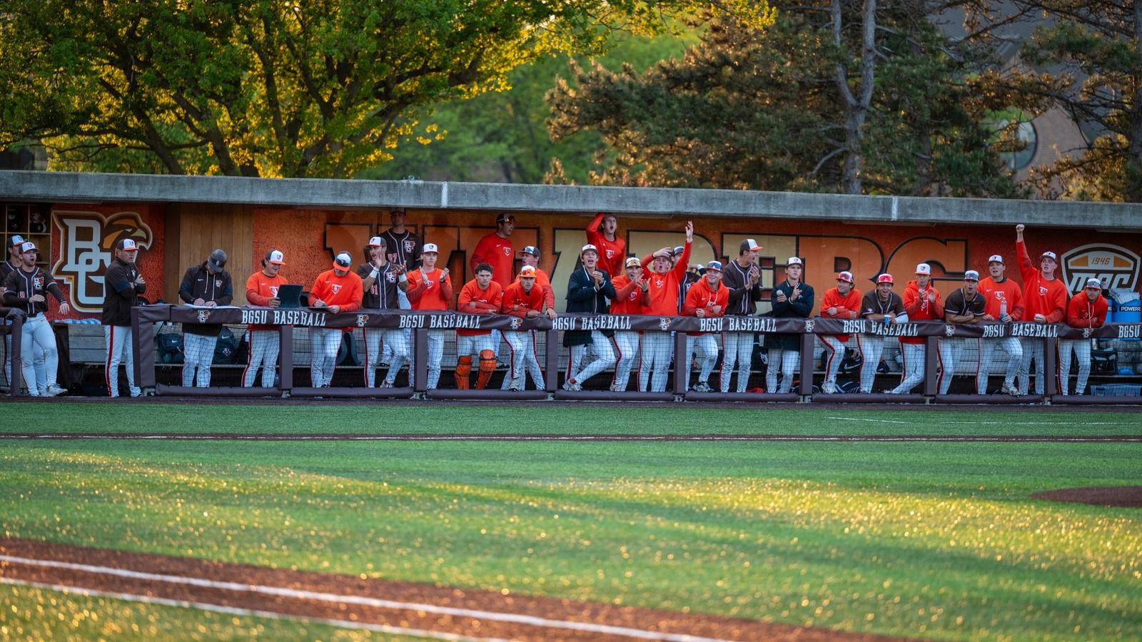 Dugout Team Photo Baseball