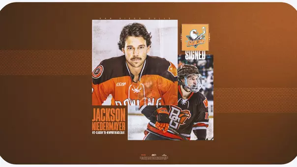 Niedermayer Signing 2.0