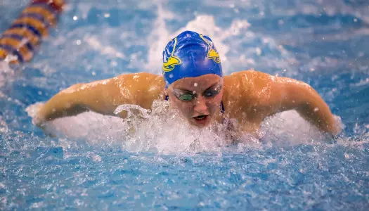 Delaware Men and Women Fall to Towson in Final Home Meet of Season
