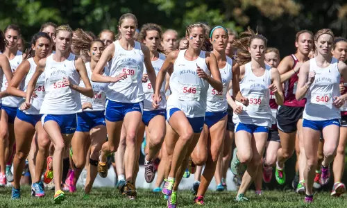 Delaware Harriers 13th in Region Poll; Head to Towson Invitational Saturday (Sept. 20, 2013)
