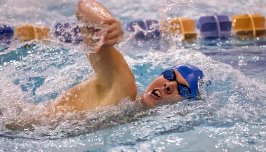 Towson Tops Delaware Swimming & Diving in Blue Hens' Last Dual Meet of the Season