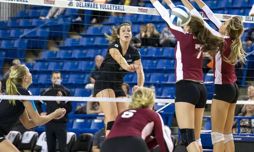 College of Charleston Rallies For Five-Set CAA Volleyball Victory Over University of Delaware