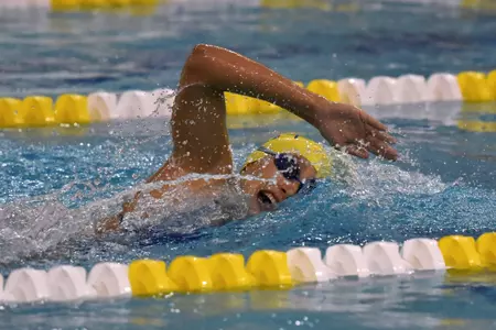 University of Delaware Swimmers Compete in 2014 USA Swimming Long Course Time Trials