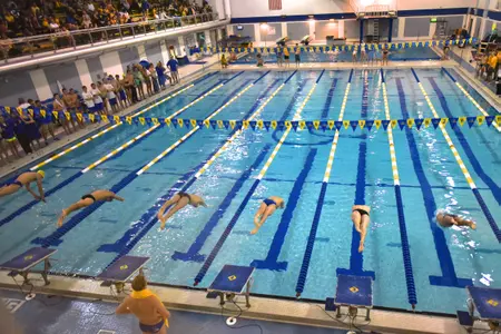 Delaware Men's and Women's Swimming and Diving Team Returns to Action Friday to Compete in Bucknell Invitational