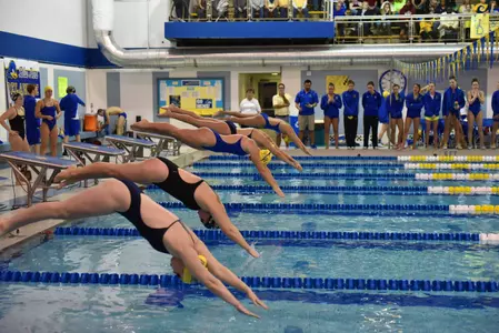 Delaware Takes on Towson in Final Home Meet Saturday